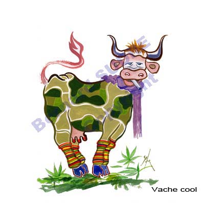 vache cool 2